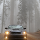 Fog rolling into Sequoia NP
